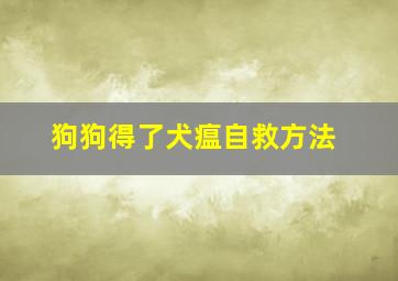 狗狗得了犬瘟自救方法