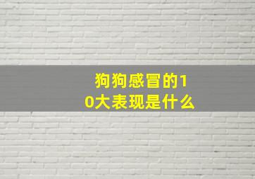 狗狗感冒的10大表现是什么