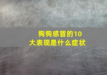 狗狗感冒的10大表现是什么症状