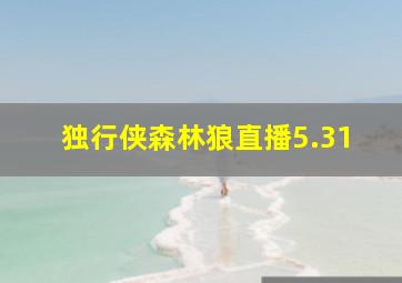 独行侠森林狼直播5.31