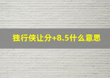 独行侠让分+8.5什么意思