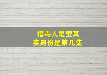 猎毒人楚莹真实身份是第几集