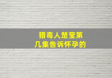 猎毒人楚莹第几集告诉怀孕的