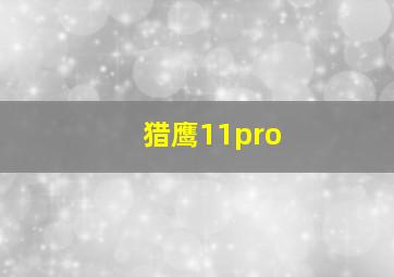 猎鹰11pro