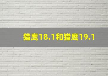 猎鹰18.1和猎鹰19.1