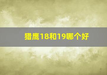 猎鹰18和19哪个好