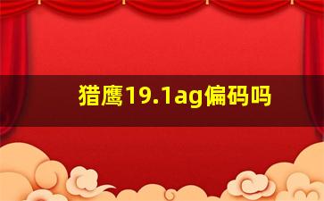 猎鹰19.1ag偏码吗