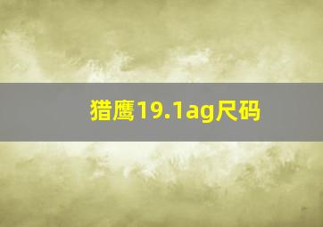 猎鹰19.1ag尺码