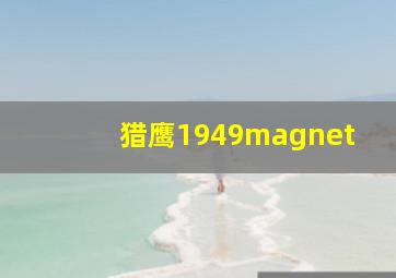 猎鹰1949magnet