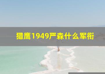 猎鹰1949严森什么军衔