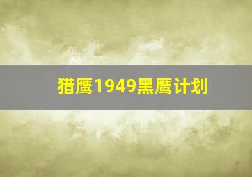 猎鹰1949黑鹰计划