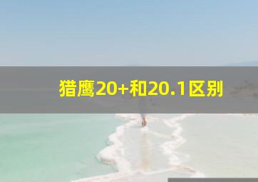 猎鹰20+和20.1区别