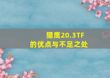 猎鹰20.3TF的优点与不足之处