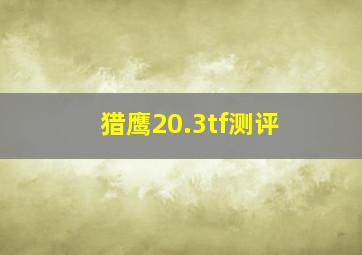 猎鹰20.3tf测评