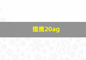 猎鹰20ag