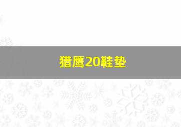 猎鹰20鞋垫