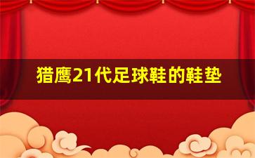 猎鹰21代足球鞋的鞋垫