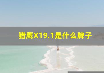 猎鹰X19.1是什么牌子