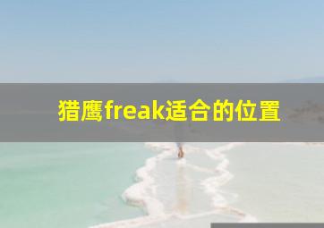 猎鹰freak适合的位置