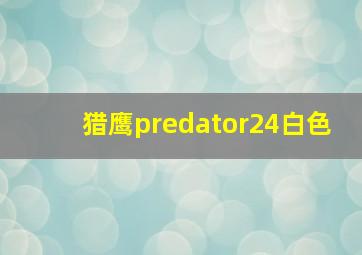 猎鹰predator24白色