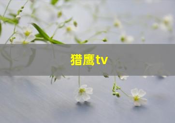 猎鹰tv