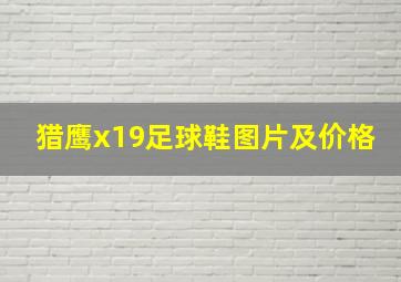 猎鹰x19足球鞋图片及价格