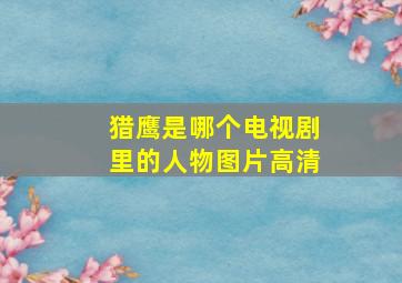 猎鹰是哪个电视剧里的人物图片高清