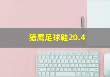 猎鹰足球鞋20.4