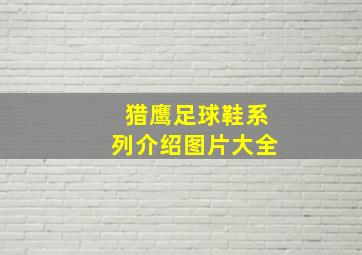 猎鹰足球鞋系列介绍图片大全