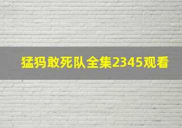 猛犸敢死队全集2345观看