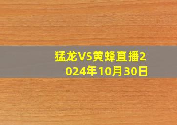 猛龙VS黄蜂直播2024年10月30日