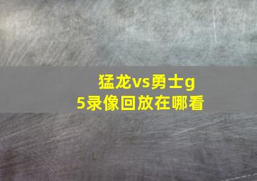 猛龙vs勇士g5录像回放在哪看