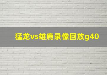 猛龙vs雄鹿录像回放g40