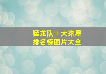 猛龙队十大球星排名榜图片大全