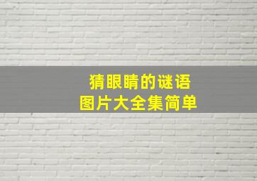 猜眼睛的谜语图片大全集简单