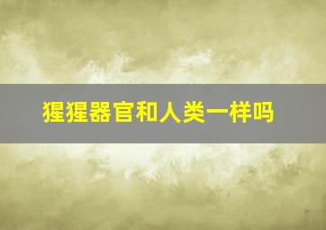 猩猩器官和人类一样吗