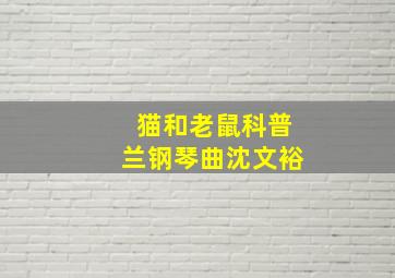 猫和老鼠科普兰钢琴曲沈文裕