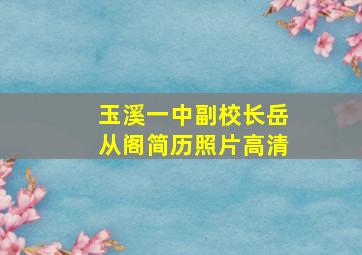 玉溪一中副校长岳从阁简历照片高清