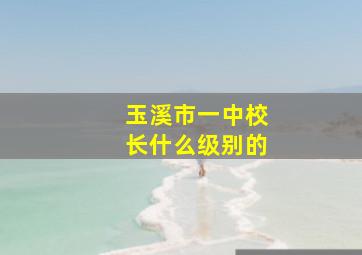 玉溪市一中校长什么级别的