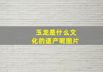 玉龙是什么文化的遗产呢图片