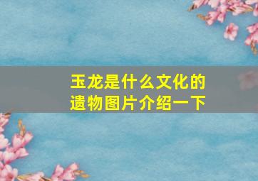 玉龙是什么文化的遗物图片介绍一下