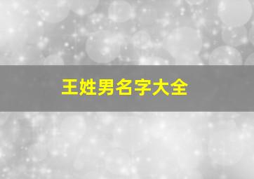 王姓男名字大全