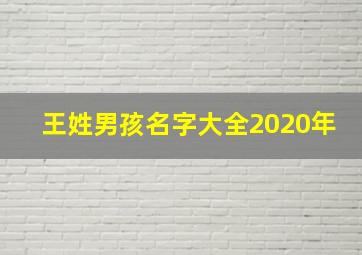 王姓男孩名字大全2020年