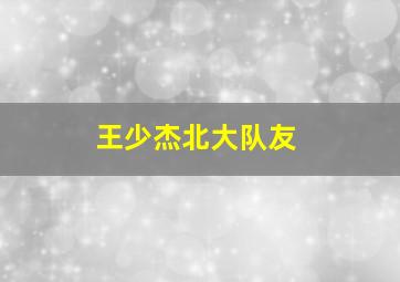 王少杰北大队友