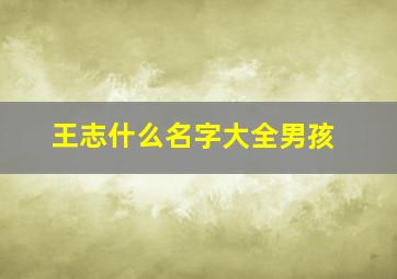 王志什么名字大全男孩