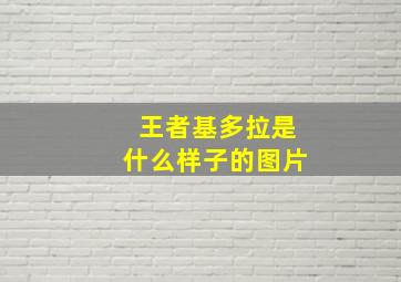 王者基多拉是什么样子的图片