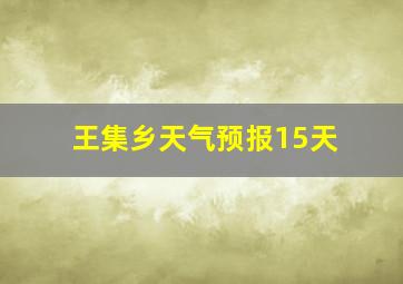 王集乡天气预报15天