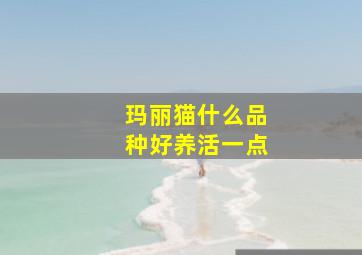 玛丽猫什么品种好养活一点