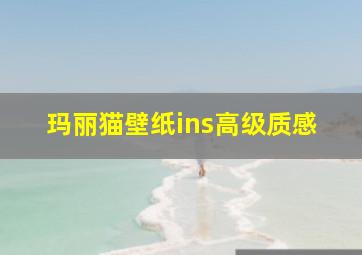 玛丽猫壁纸ins高级质感