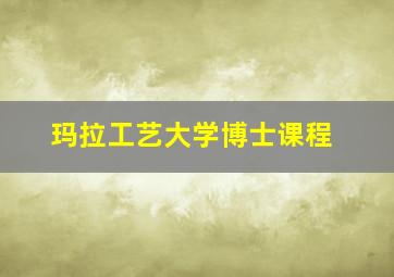 玛拉工艺大学博士课程